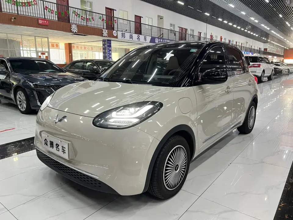 Wuling Motors Wuling Bingo Model 333km Joy Edition 2025