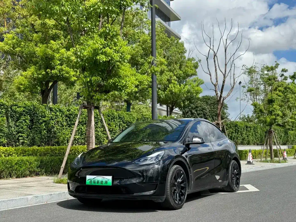 Tesla Model Y Rear-Wheel Drive Version 2023