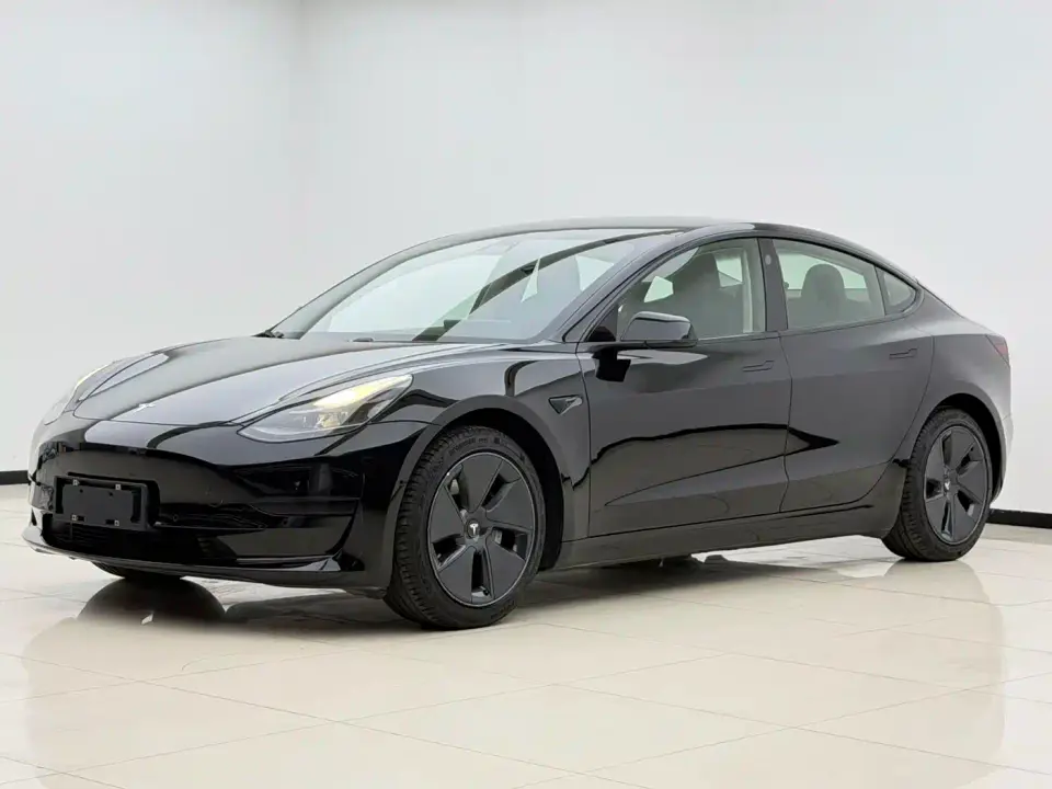 Tesla Model 3 Facelift Standard Range RWD Upgrade 3D1 2021