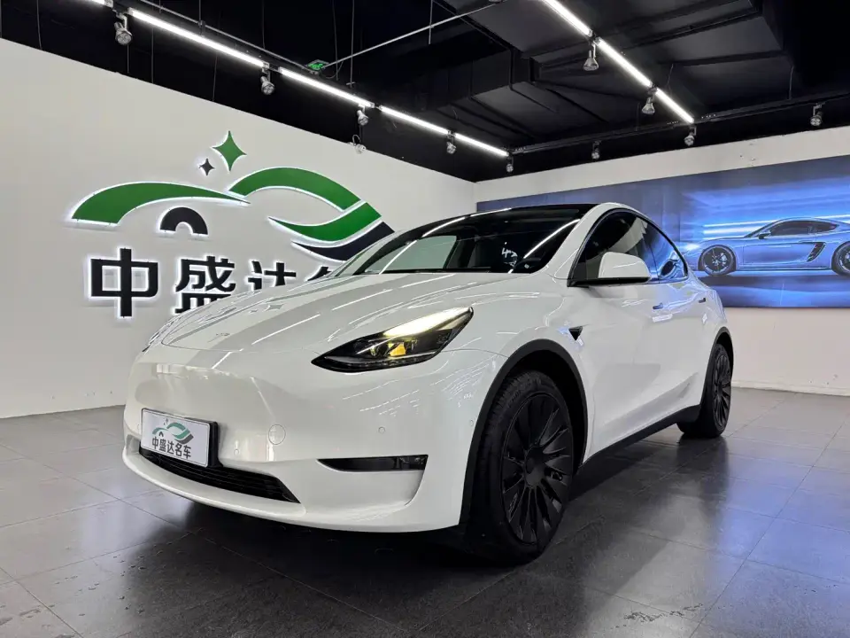 Tesla Model Y Long Range AWD 2022