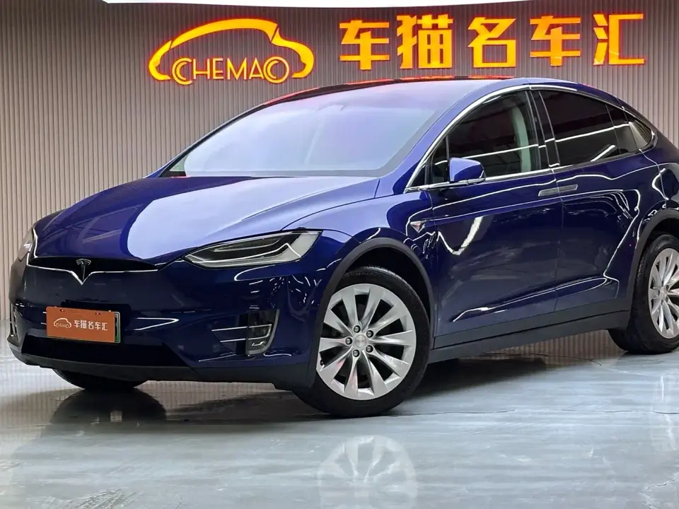 Tesla Model X Model X 100D Long Range 2019