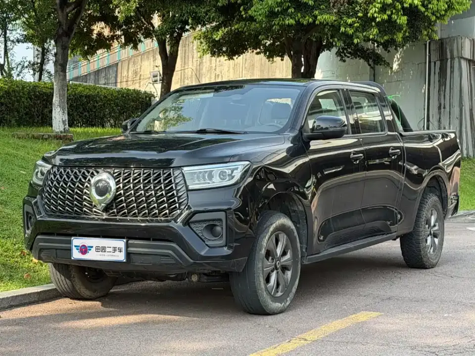 Great Wall Pao Model 2.4T Commercial Version Automatic Diesel 4WD Elite Type 2024