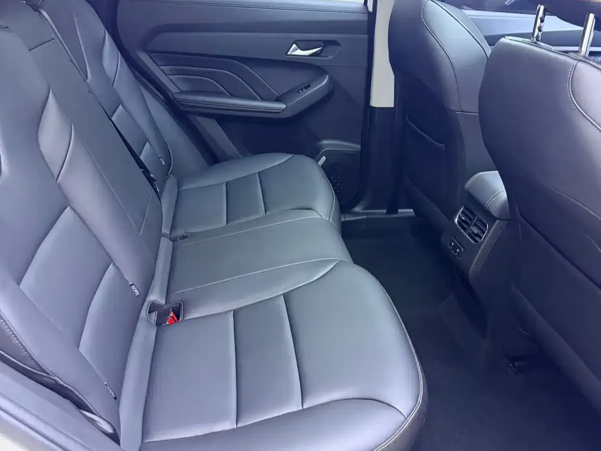 Haval Chitu Power Edition 1.5T Purple Copper Rabbit 2022 — фото 11