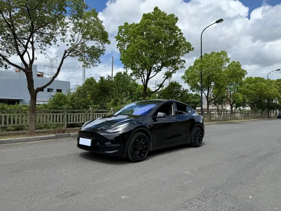 Tesla Model Y Standard Range Rear-Wheel Drive 2021