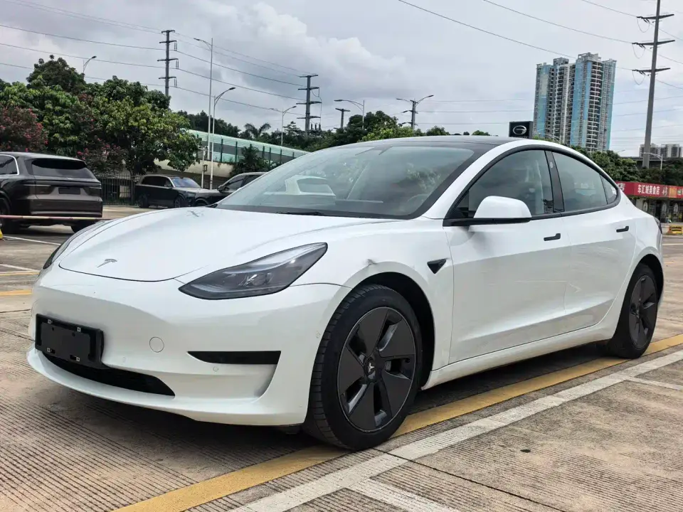 Tesla Model 3 Facelift Standard Range RWD Upgrade 3D1 2021
