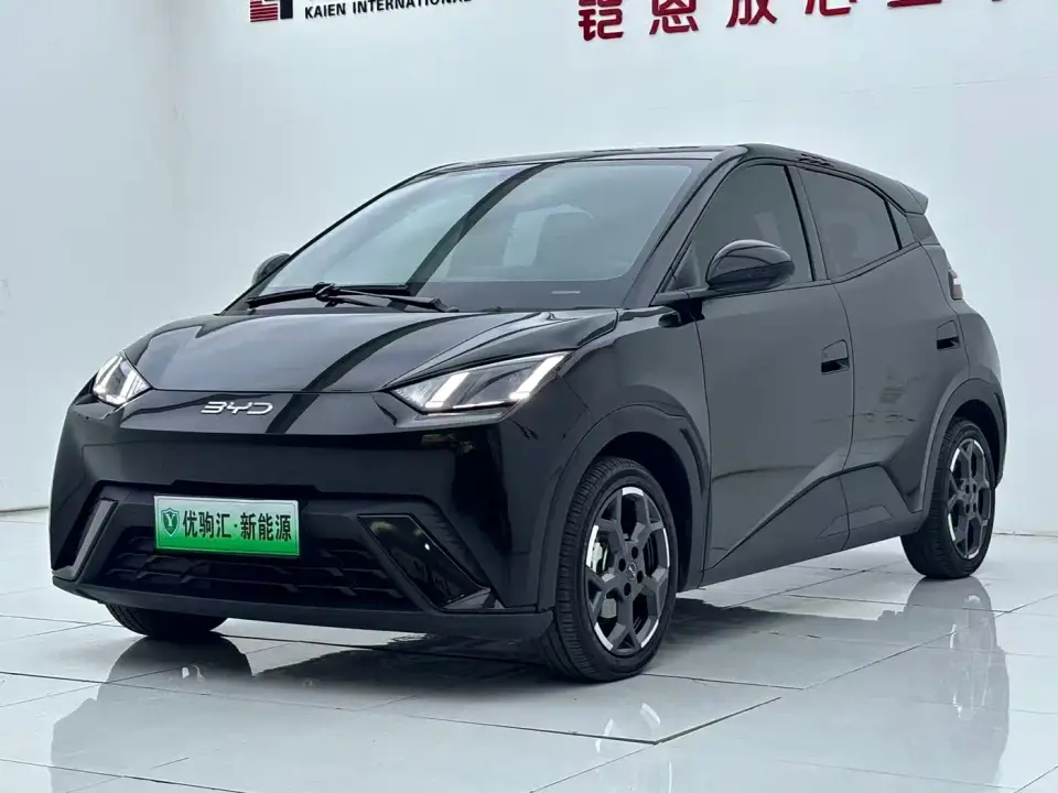 BYD Seagull 305km Freedom 2024