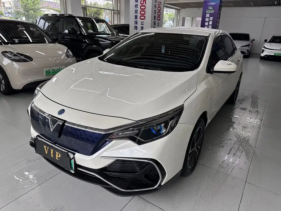 Venucia D60EV Standard Range Smart Drive Edition 2023