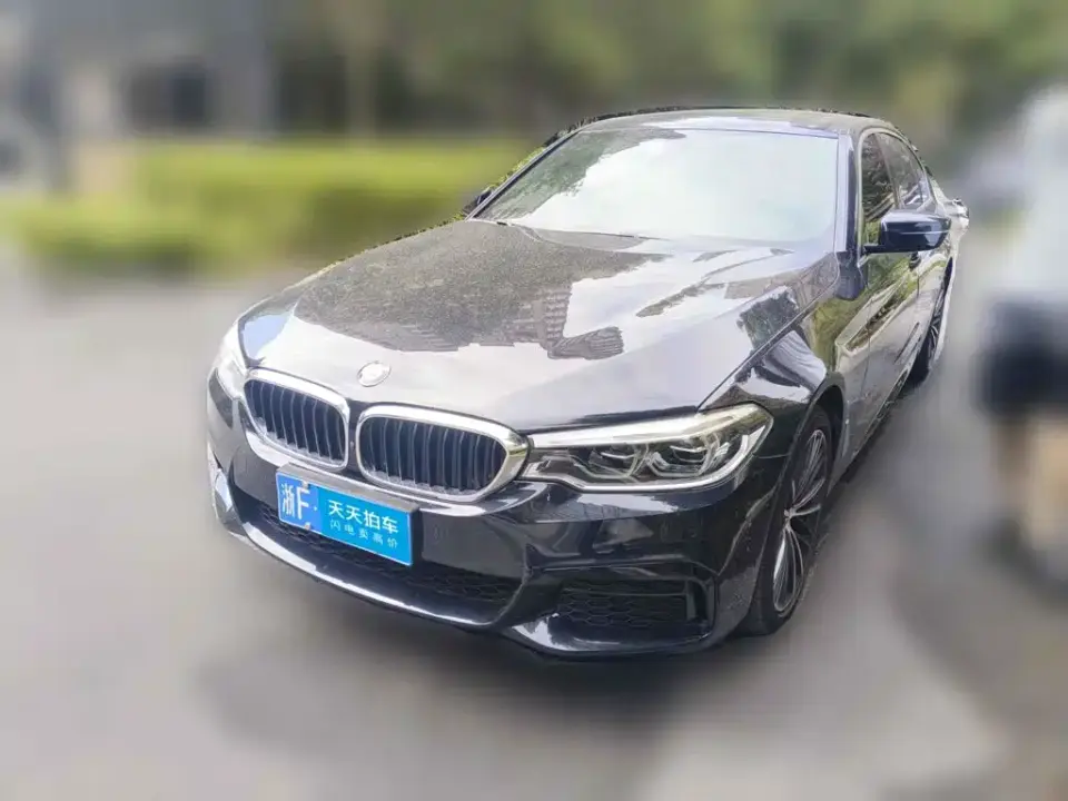 BMW 5 Series 530Li Exclusive M Sport Package 2020