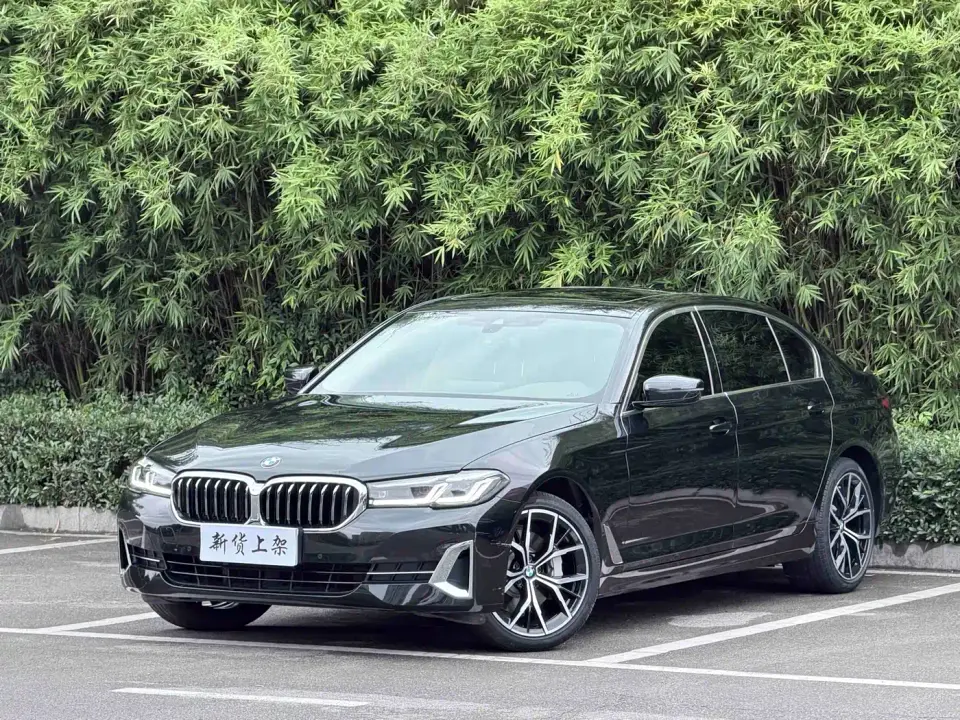 BMW 5 Series 530Li Leading M Sport Package 2021
