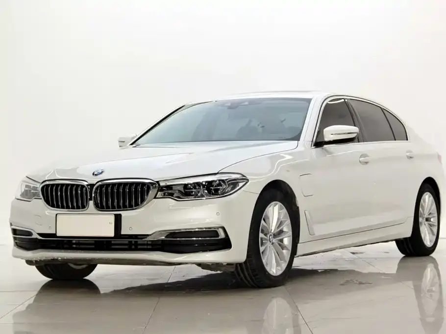 BMW 5 Series New Energy 530Le Luxury Package 2020