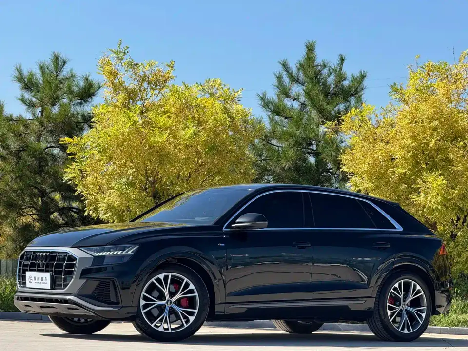Audi Q8 55 TFSI Premium Selection Dynamic 2023