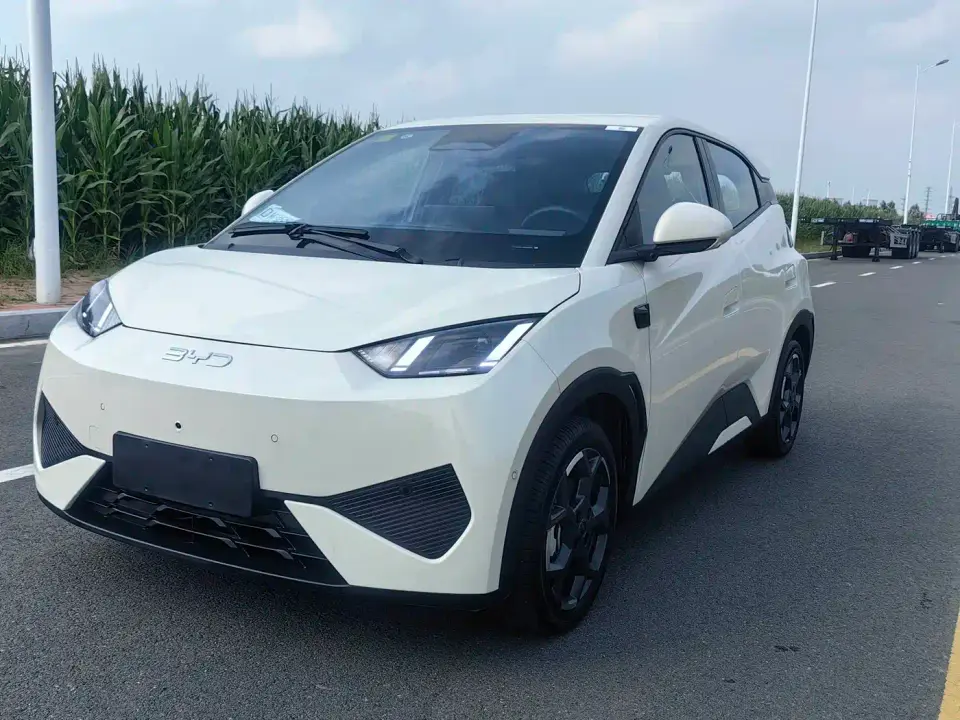 BYD Seagull Smart Drive Edition 305km Freedom Version 2025