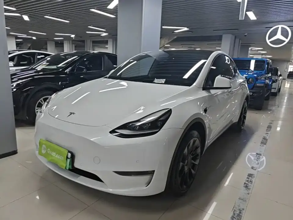 Tesla Model Y Model Long Range AWD 2021