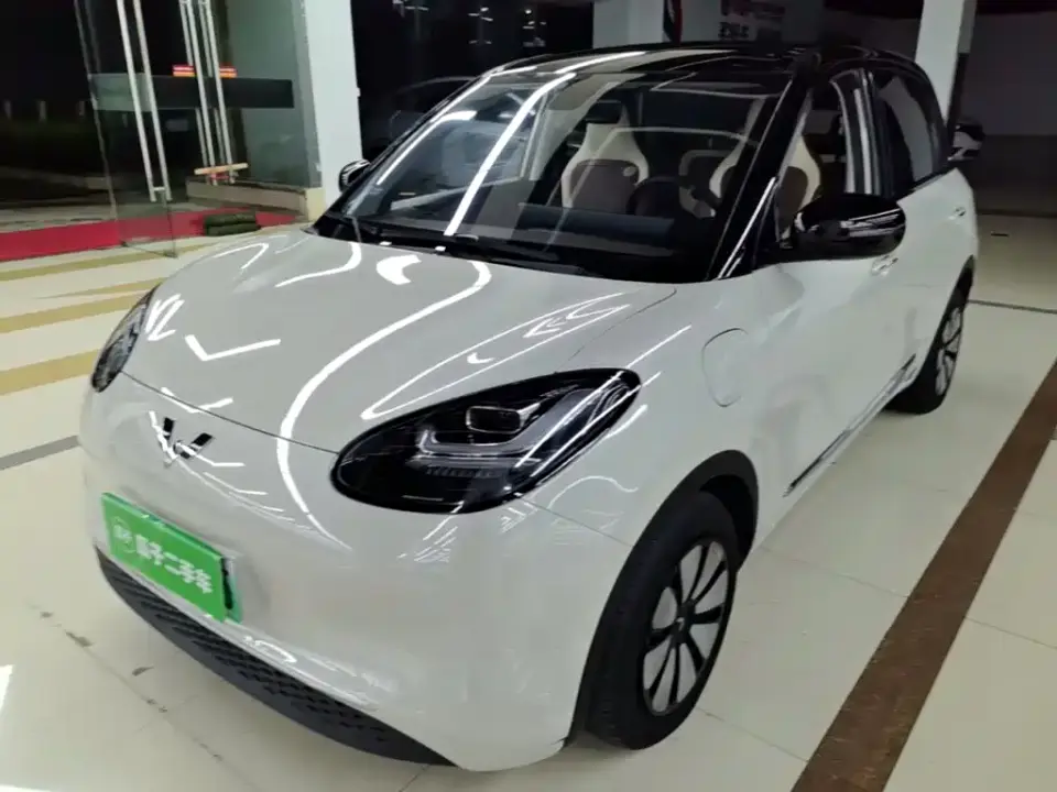 Wuling Motors Wuling Bingo 410km Lingxi Premium Edition 2024