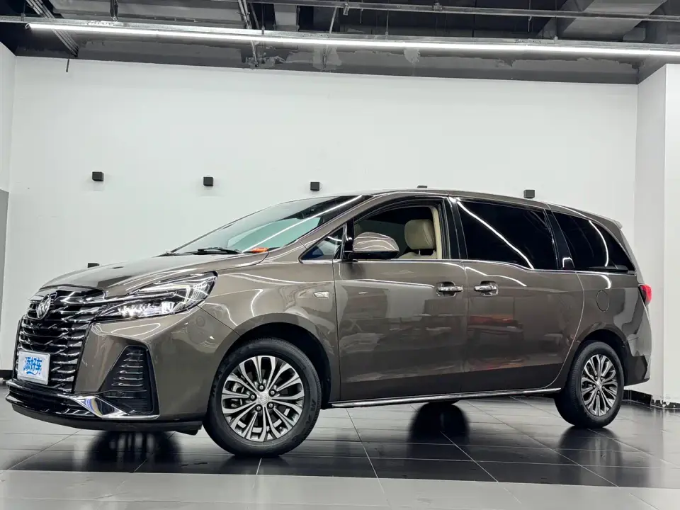 Buick GL8 Land Business Class 652T Luxury 2024