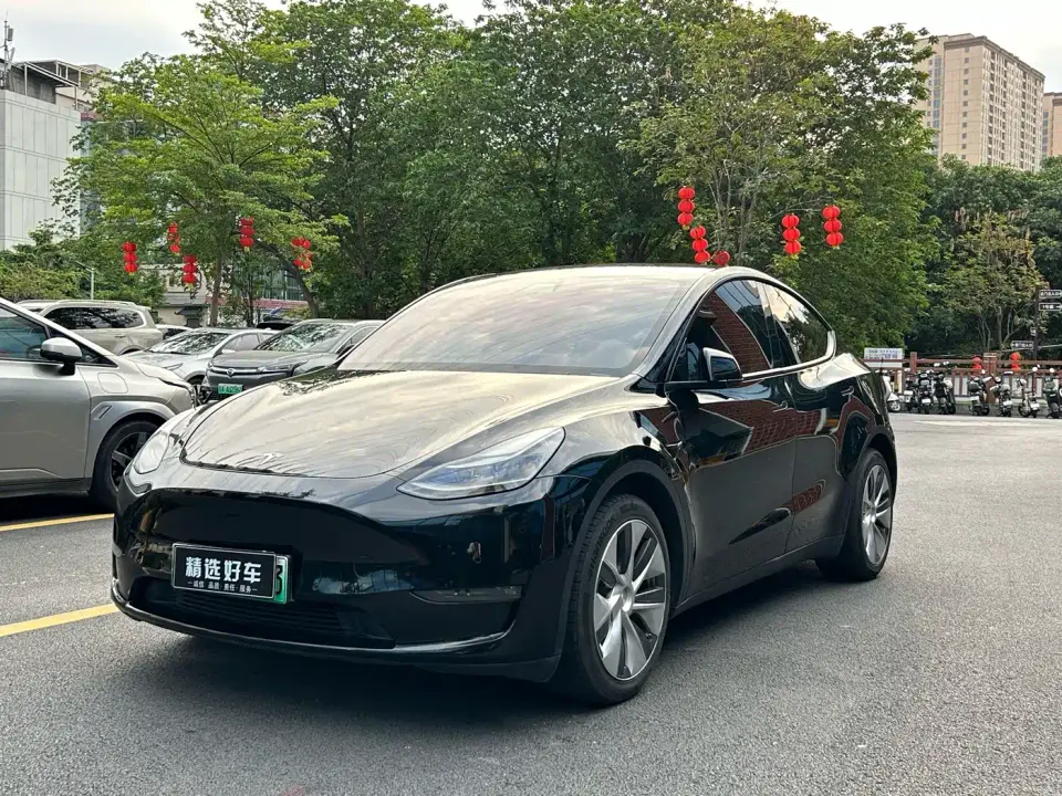 Tesla Model Y Model Long Range AWD 2021