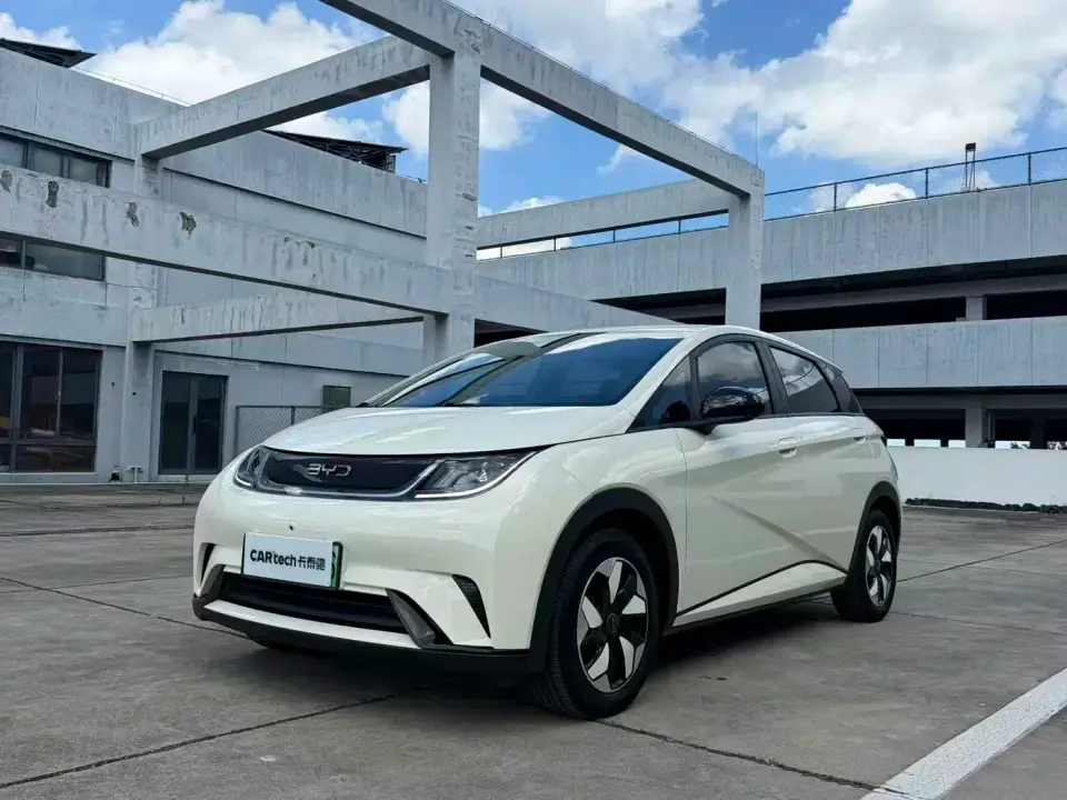 BYD Dolphin 420km Freedom Edition 2024
