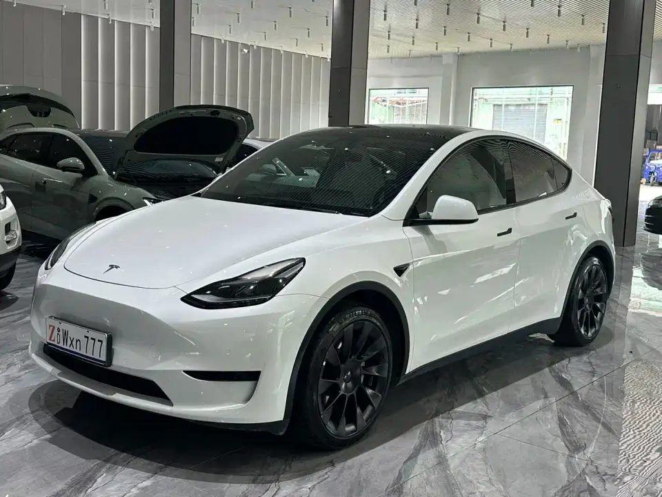 Tesla Model Y Rear-Wheel Drive Version 2022