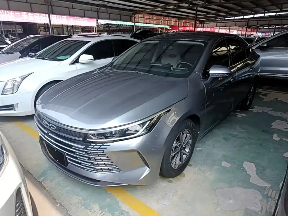 BYD Destroyer 05 Glory Edition DM-i 55KM Luxury 2024