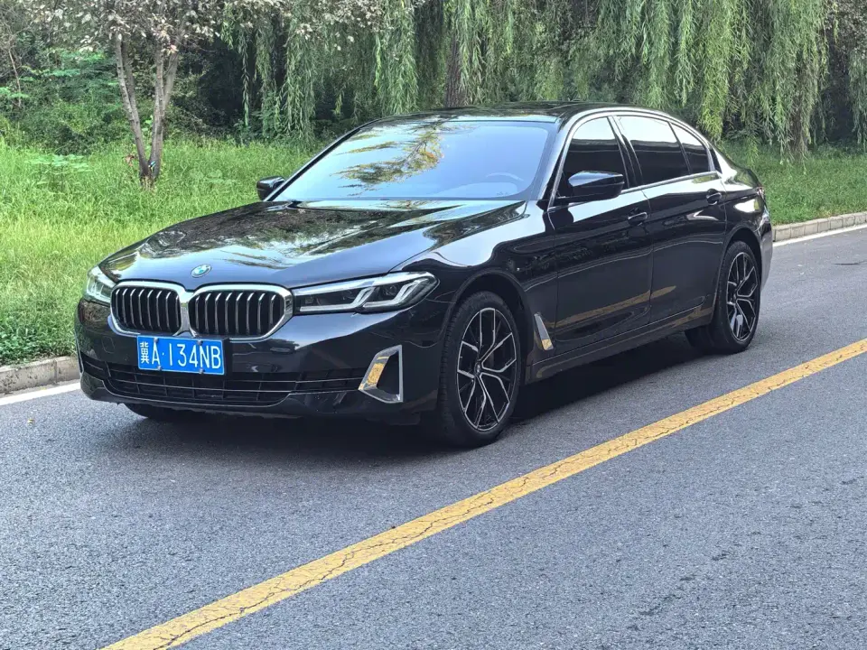 BMW 5 Series 530Li Leading Luxury Package 2021