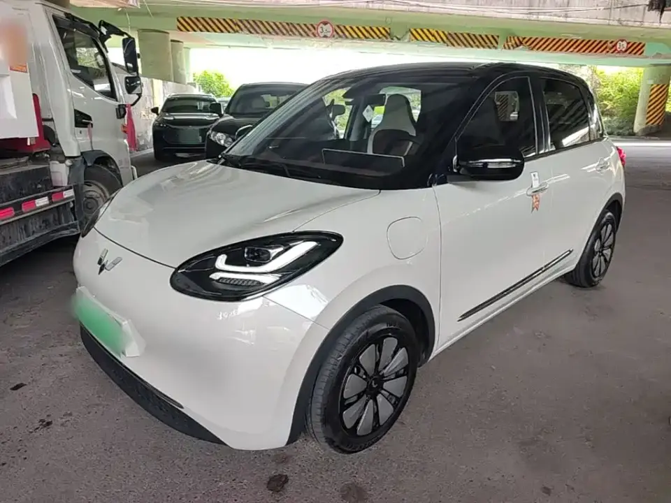 Wuling Motors Wuling Bingo 410km Lingxi Premium Edition 2024