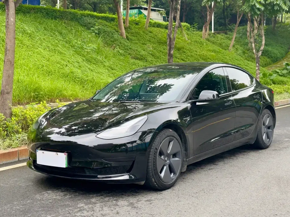 Tesla Model 3 Model Rear-Wheel Drive Version 2022