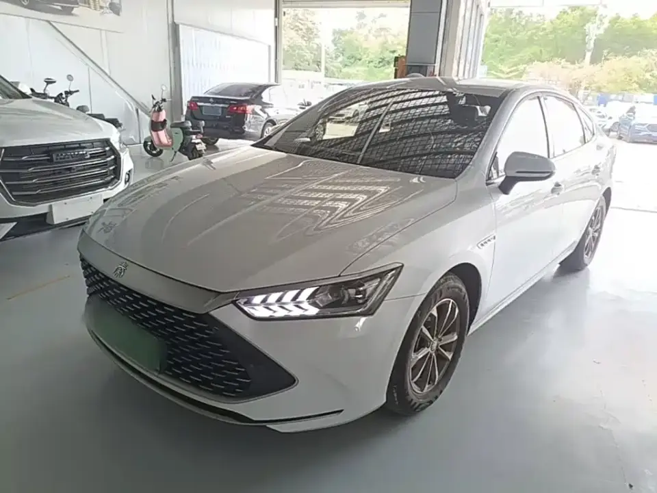 BYD Qin PLUS Champion Edition DM-i 55KM Leading 2023