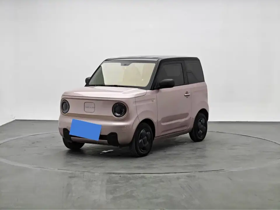 Geely Galaxy Panda Panda mini 200km Endurance Bear 2024
