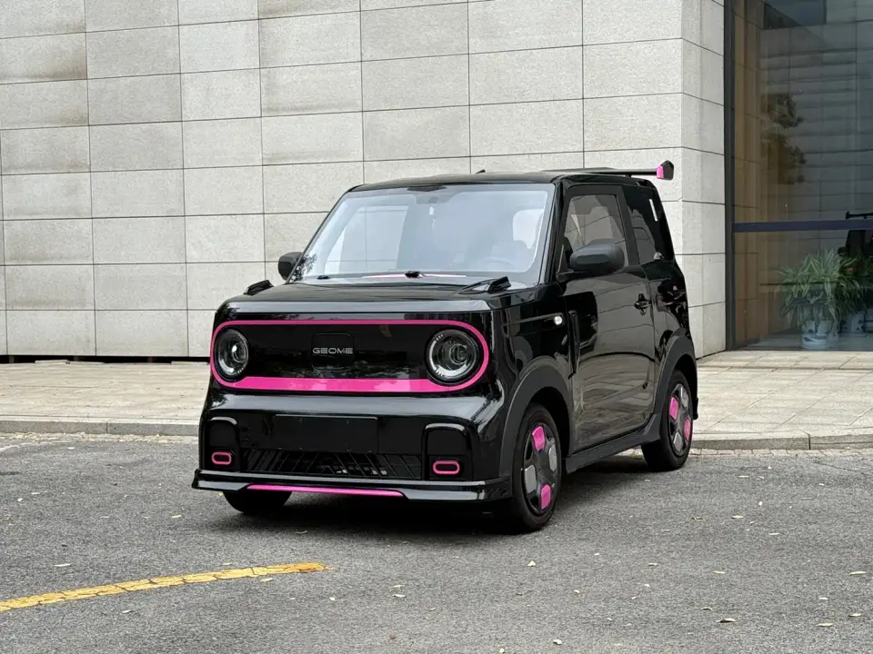 Geely Galaxy Panda Model Year 210km Panda Kart 2025