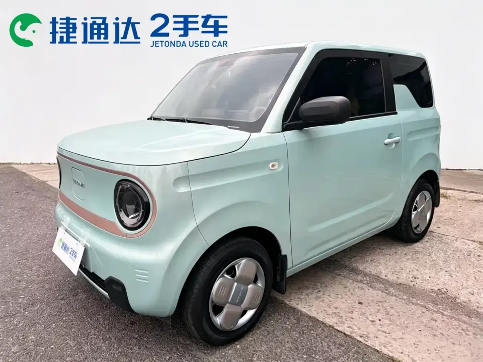 Geely Galaxy Panda Panda Mini 200km Endurance Bear 2024