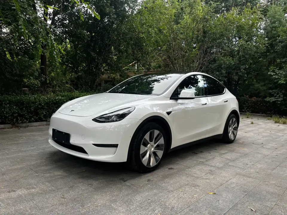Tesla Model Y Standard Range Rear-Wheel Drive 2022