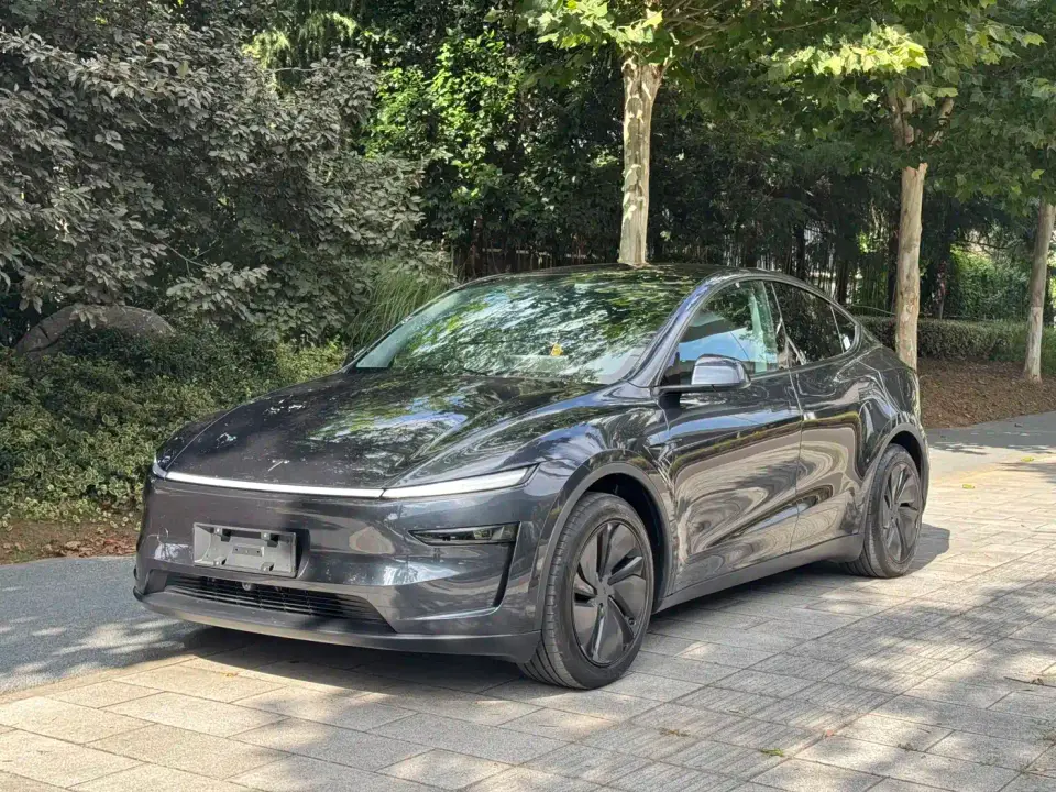 Tesla Model Y Model Rear-Wheel Drive Launch Edition 2025