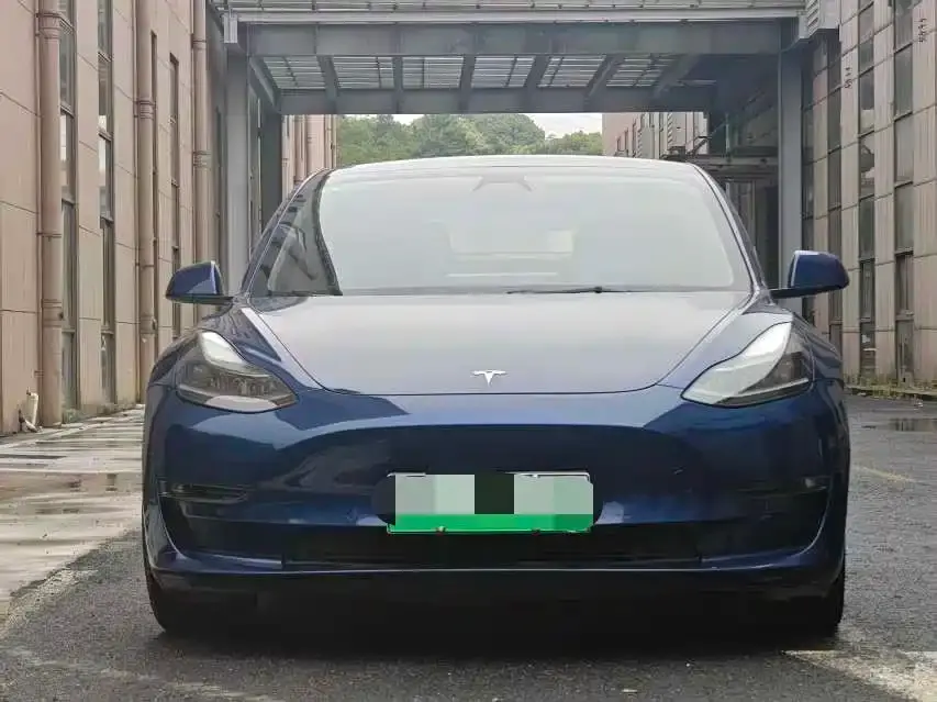Tesla Model 3 Performance High-Performance All-Wheel Drive 3D6 2021