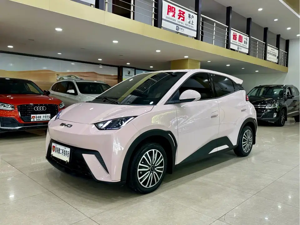 BYD Seagull Vitality Edition 2024