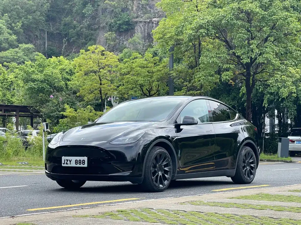Tesla Model Y Rear-Wheel Drive Version 2022