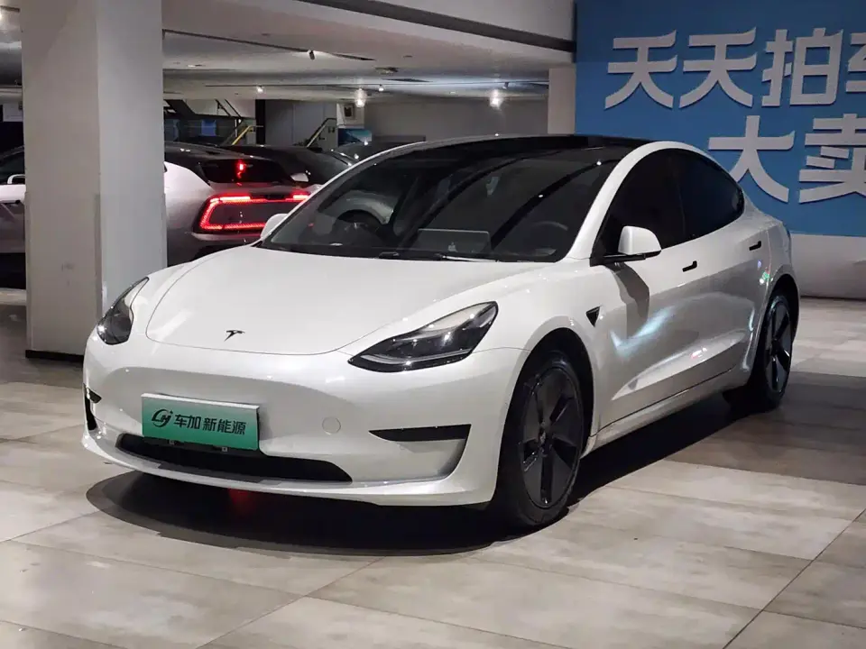 Tesla Model 3 Model Rear-Wheel Drive Version 2022