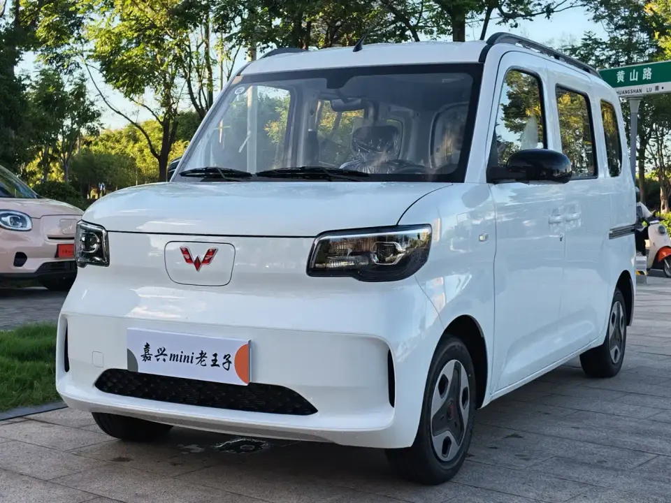 Wuling Motors Wuling Zhiguang NEV Model 305km Base Version 2026
