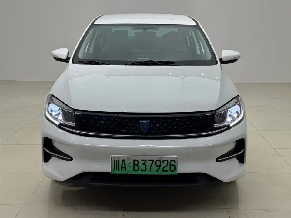 Dongfeng Fengxing Fengxing S60EV Commercial Operation Model 2024