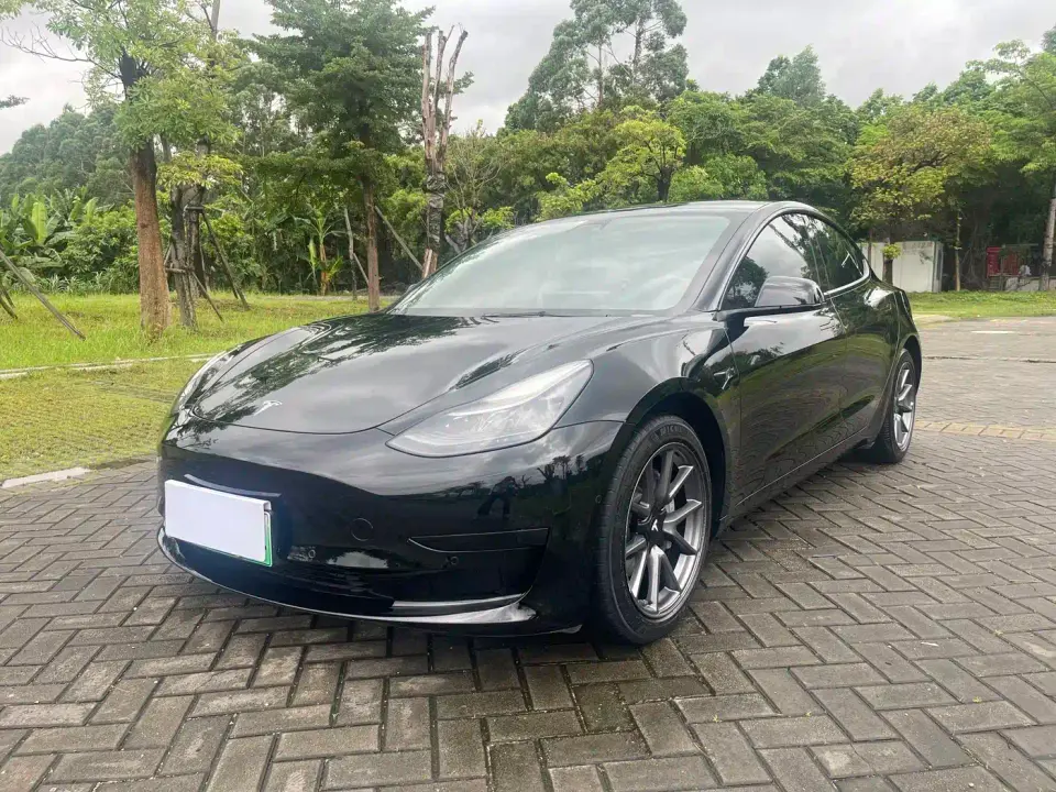 Tesla Model 3 Facelift Standard Range RWD Upgrade 3D1 2021