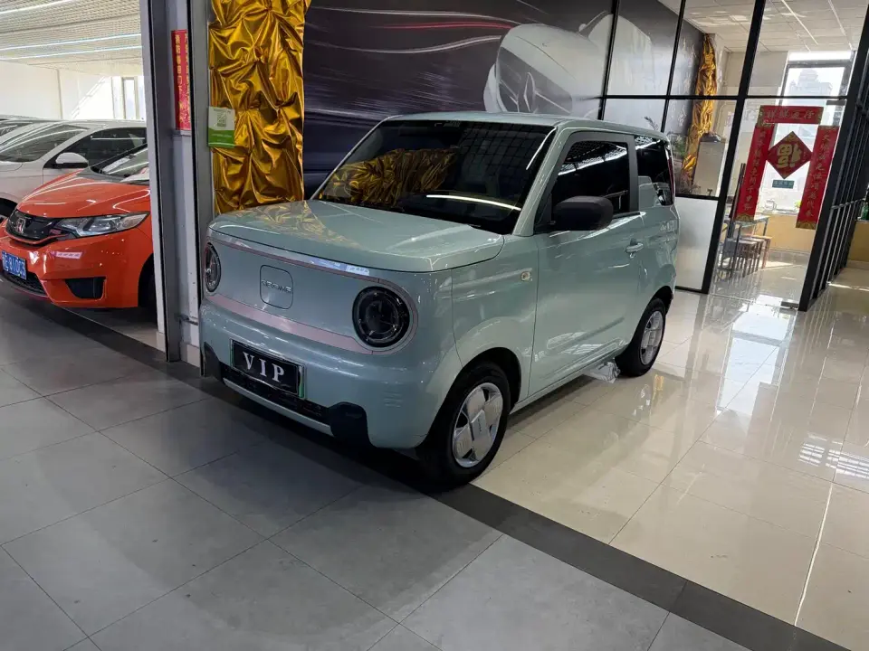 Geely Galaxy Panda Panda Mini 200km Endurance Bear 2023