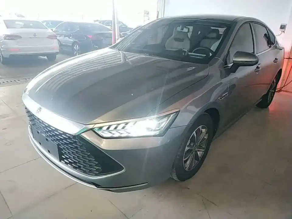 BYD Qin PLUS Champion Edition DM-i 55KM Leading 2024