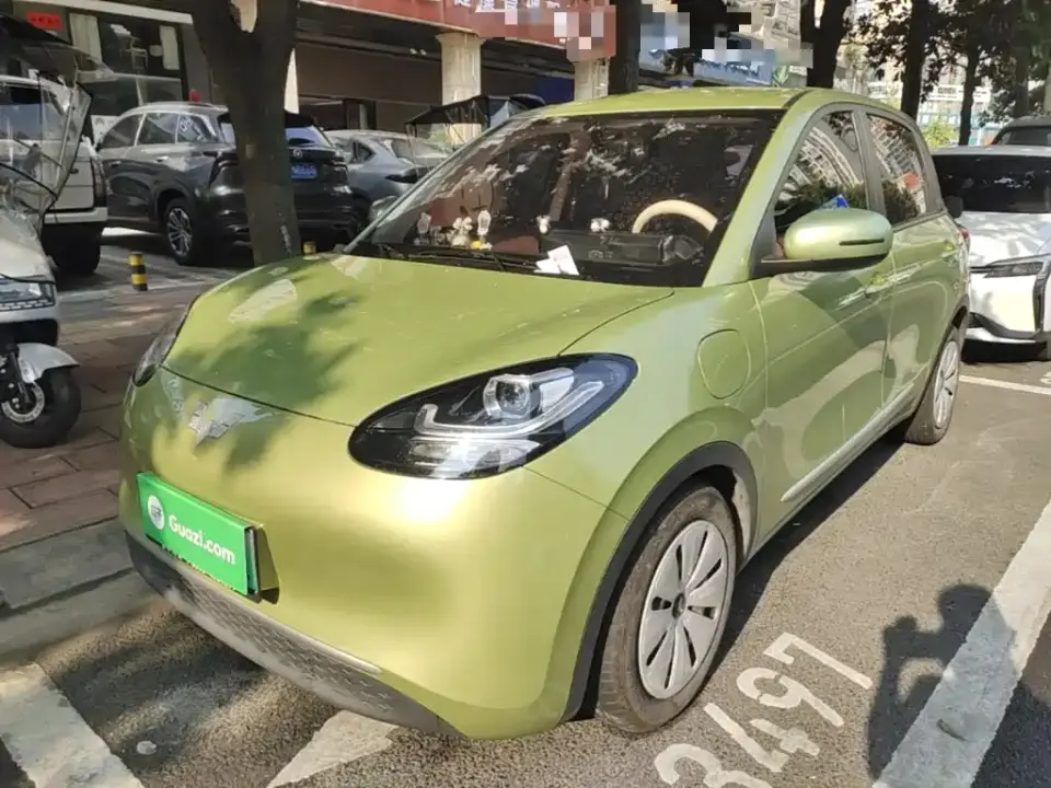 Wuling Motors Wuling Bingo 333km Quick Enjoy Version 2024