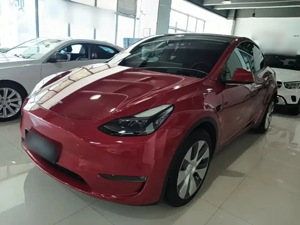 Tesla Model Y Rear-Wheel Drive Version 2022
