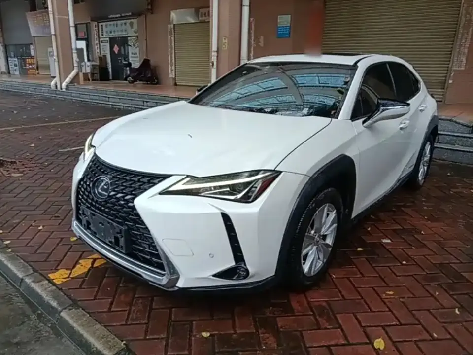 Lexus UX 260h Explore Fun Edition 2020