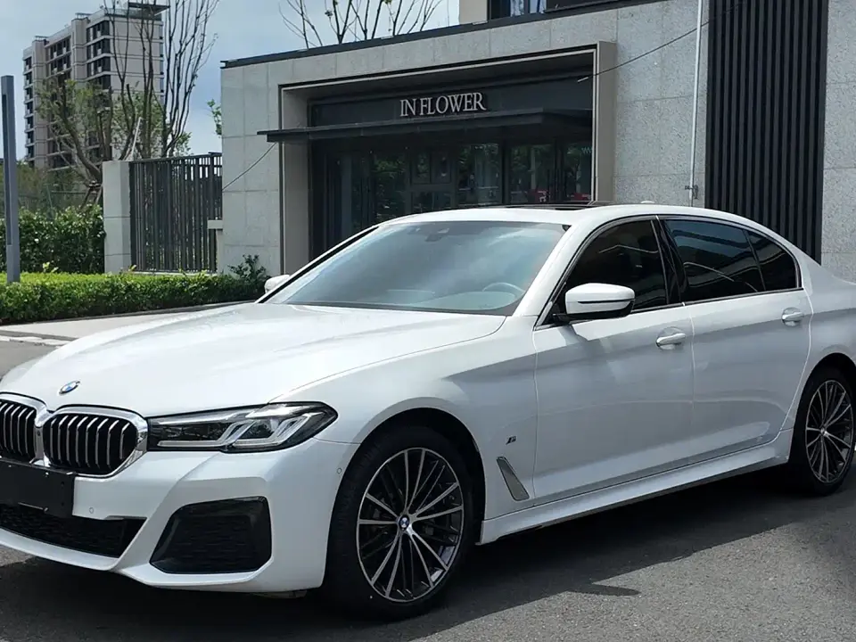 BMW 5 Series 530Li Leading M Sport Package 2021