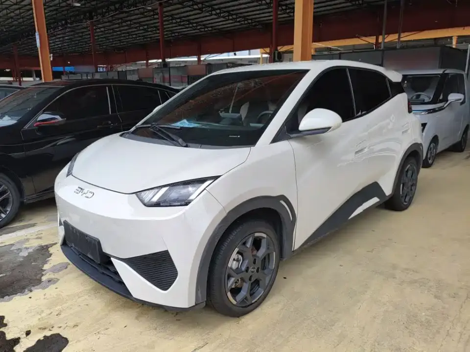 BYD Seagull Smart Drive Edition 405km Free Edition 2025