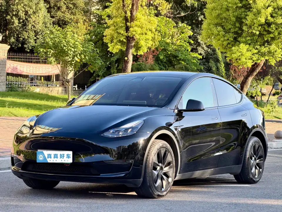Tesla Model Y Long Range All-Wheel Drive Edition 2024