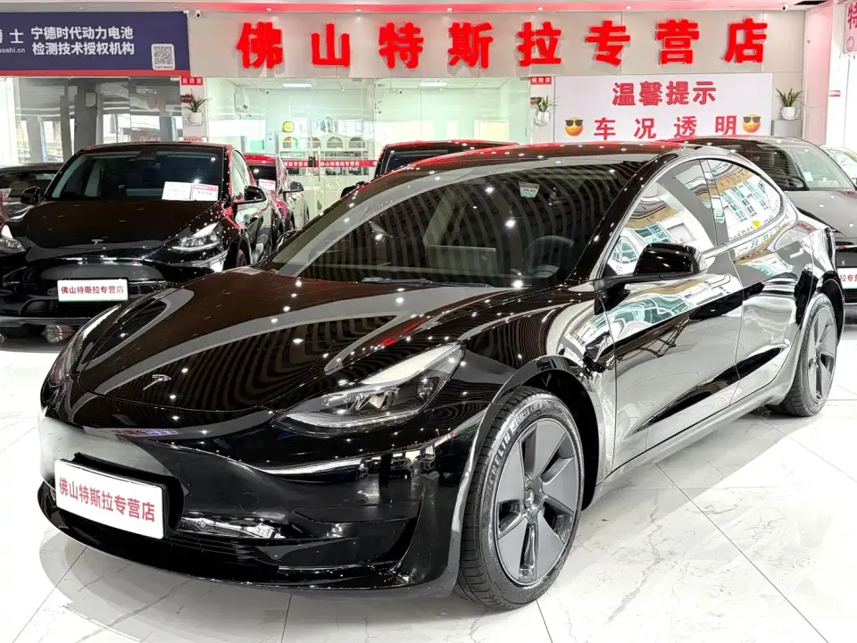 Tesla Model 3 Standard Range Rear-Wheel Drive Upgrade 3D6 2021