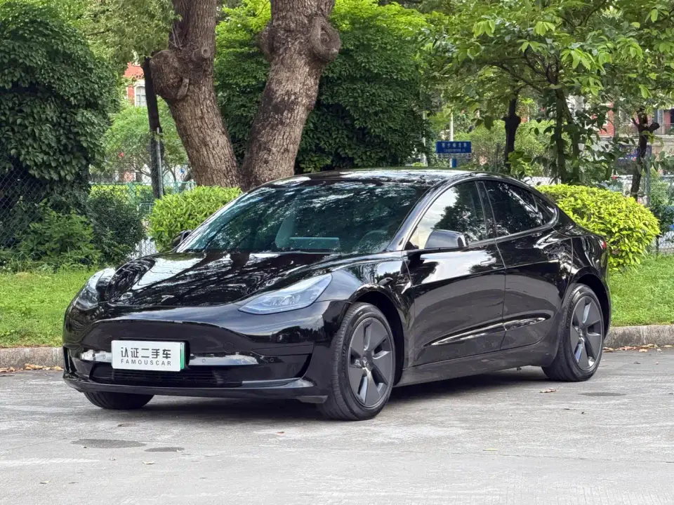 Tesla Model 3 Model Rear-Wheel Drive Version 2023