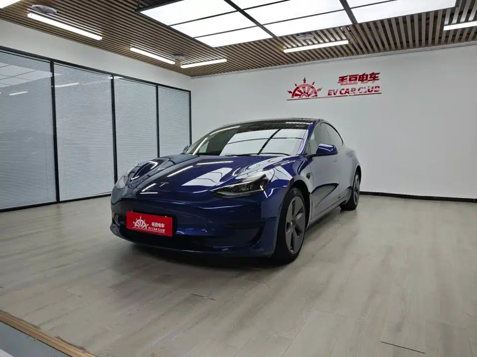 Tesla Model 3 Model Rear-Wheel Drive Version 2022